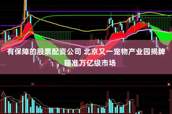 有保障的股票配资公司 北京又一宠物产业园揭牌，瞄准万亿级市场