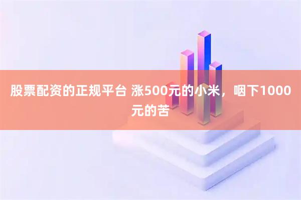 股票配资的正规平台 涨500元的小米，咽下1000元的苦